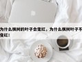 为什么枫树的叶子会变红，为什么枫树叶子不变红！