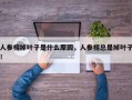 人参榕掉叶子是什么原因，人参榕总是掉叶子！