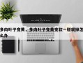 多肉叶子变黄，多肉叶子变黄变软一碰就掉怎么办