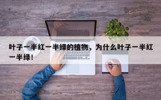 叶子一半红一半绿的植物，为什么叶子一半红一半绿！