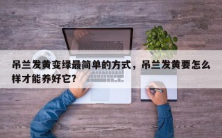 吊兰发黄变绿最简单的方式，吊兰发黄要怎么样才能养好它？