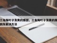 三角梅叶子发黄的原因，三角梅叶子发黄的原因及解决方法