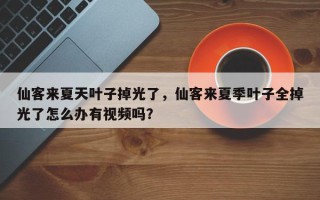 仙客来夏天叶子掉光了，仙客来夏季叶子全掉光了怎么办有视频吗？