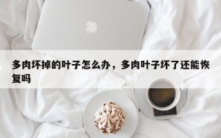 多肉坏掉的叶子怎么办，多肉叶子坏了还能恢复吗