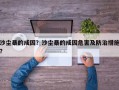 沙尘暴的成因？沙尘暴的成因危害及防治措施？