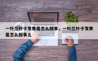 一叶兰叶子发黄是怎么回事，一叶兰叶子发黄是怎么回事儿