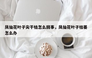 凤仙花叶子尖干枯怎么回事，凤仙花叶子枯萎怎么办
