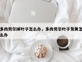 多肉劳尔掉叶子怎么办，多肉劳尔叶子发黄怎么办