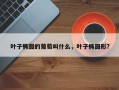 叶子椭圆的葡萄叫什么，叶子椭圆形？