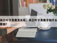吊兰叶子发黑怎么办，吊兰叶子发黑干枯什么原因？