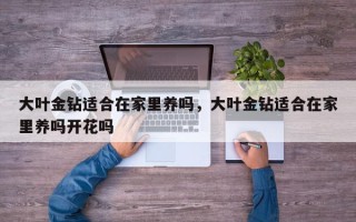 大叶金钻适合在家里养吗，大叶金钻适合在家里养吗开花吗