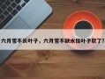 六月雪不长叶子，六月雪不缺水但叶子软了？