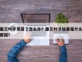 墨兰叶子发蔫了怎么办？墨兰叶子枯萎是什么原因？