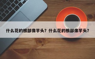 什么花的根部像芋头？什么花的根部像芋头？