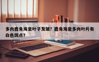 多肉鹿角海棠叶子发皱？鹿角海棠多肉叶片有白色斑点？