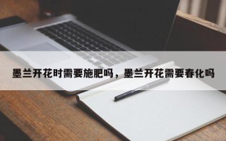 墨兰开花时需要施肥吗，墨兰开花需要春化吗