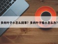 多肉叶子小怎么回事？多肉叶子瘦小怎么办？