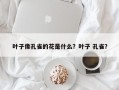 叶子像孔雀的花是什么？叶子 孔雀？