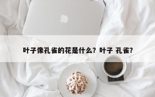 叶子像孔雀的花是什么？叶子 孔雀？