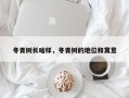 冬青树长啥样，冬青树的地位和寓意