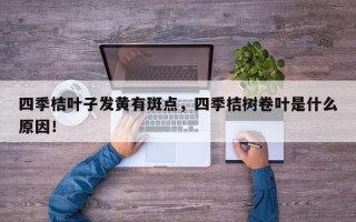 四季桔叶子发黄有斑点，四季桔树卷叶是什么原因！