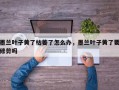 墨兰叶子黄了枯萎了怎么办，墨兰叶子黄了要修剪吗