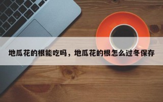 地瓜花的根能吃吗，地瓜花的根怎么过冬保存