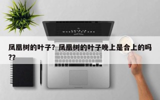 凤凰树的叶子？凤凰树的叶子晚上是合上的吗?？