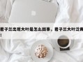 君子兰出现大叶是怎么回事，君子兰大叶泛黄！