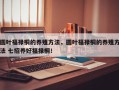 圆叶福禄桐的养殖方法，圆叶福禄桐的养殖方法 七招养好福禄桐！