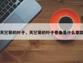 天竺葵的叶子，天竺葵的叶子卷曲是什么原因