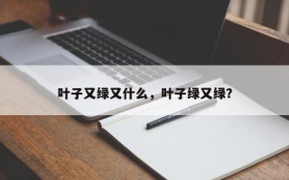 叶子又绿又什么，叶子绿又绿？