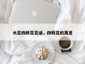 大花四照花花语，四照花的寓意