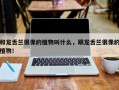 和龙舌兰很像的植物叫什么，跟龙舌兰很像的植物！