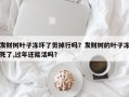 发财树叶子冻坏了剪掉行吗？发财树的叶子冻死了,过年还能活吗？