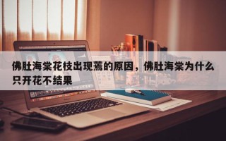 佛肚海棠花枝出现蔫的原因，佛肚海棠为什么只开花不结果