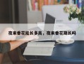 夜来香花能长多高，夜来香花期长吗