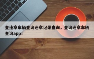 查违章车辆查询违章记录查询，查询违章车辆查询app！