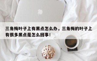 三角梅叶子上有黑点怎么办，三角梅的叶子上有很多黑点是怎么回事！