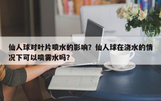 仙人球对叶片喷水的影响？仙人球在浇水的情况下可以喷雾水吗？