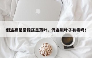 假连翘是常绿还是落叶，假连翘叶子有毒吗！