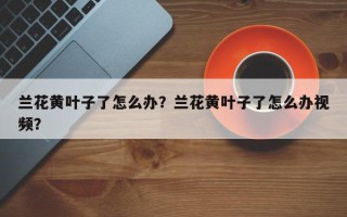 兰花黄叶子了怎么办？兰花黄叶子了怎么办视频？