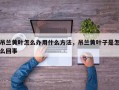 吊兰黄叶怎么办用什么方法，吊兰黄叶子是怎么回事