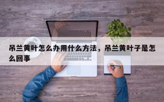 吊兰黄叶怎么办用什么方法，吊兰黄叶子是怎么回事
