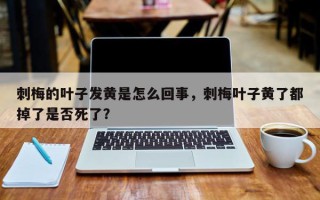 刺梅的叶子发黄是怎么回事，刺梅叶子黄了都掉了是否死了？