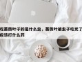 吃蔷薇叶子的是什么虫，蔷薇叶被虫子吃光了应该打什么药
