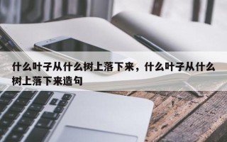 什么叶子从什么树上落下来，什么叶子从什么树上落下来造句