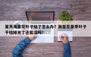 夏天海棠花叶子枯了怎么办?海棠花夏季叶子干枯掉光了还能活吗? 夏天海棠花叶子枯了怎么办?海棠花夏季叶子干枯掉光了还能活吗?