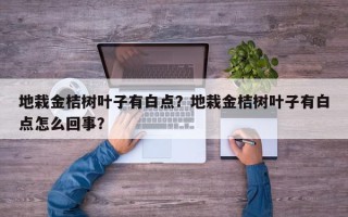 地栽金桔树叶子有白点？地栽金桔树叶子有白点怎么回事？