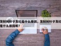 发财树叶子发红是什么原因，发财树叶子发红是什么原因呢？